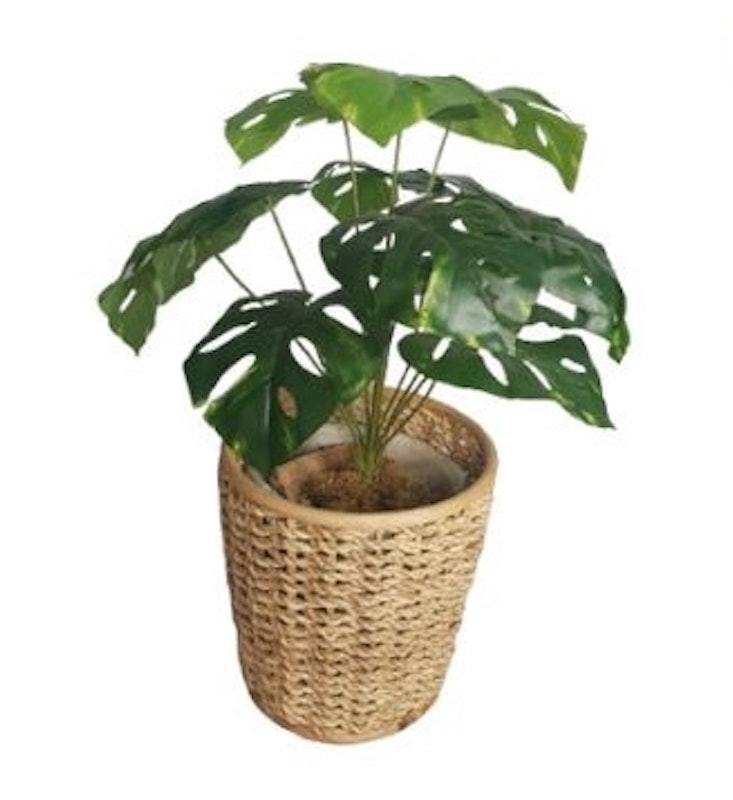 Abe Buri Rattan Basket Planter 4