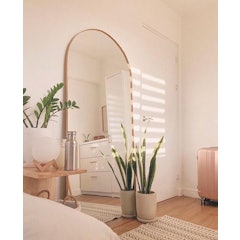 Felicia Arch Mirror