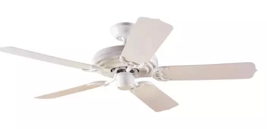 Ceiling Fan   1