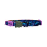 10 Best Cat Collars in the Philippines 2026 | Buying Guide Reviewed by Veterinarian 2