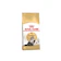 Royal Canin Persian Adult Dry Cat Food 1