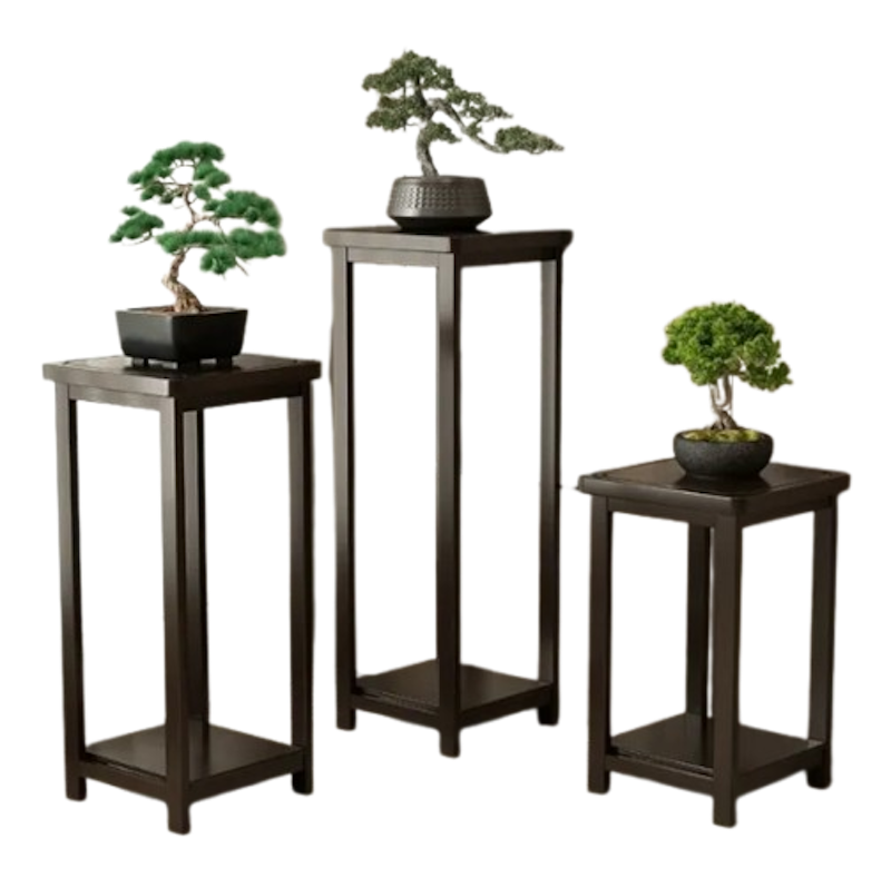 Display Shelf 1
