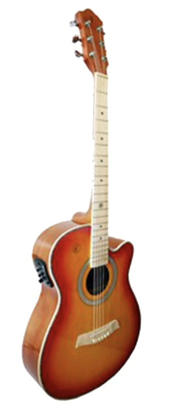 RJ Professional Acoustics Folk 1