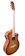 RJ Guitars RJ Professional Acoustics Folk 1