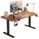 Inplay Electric Standing Desk Table 1