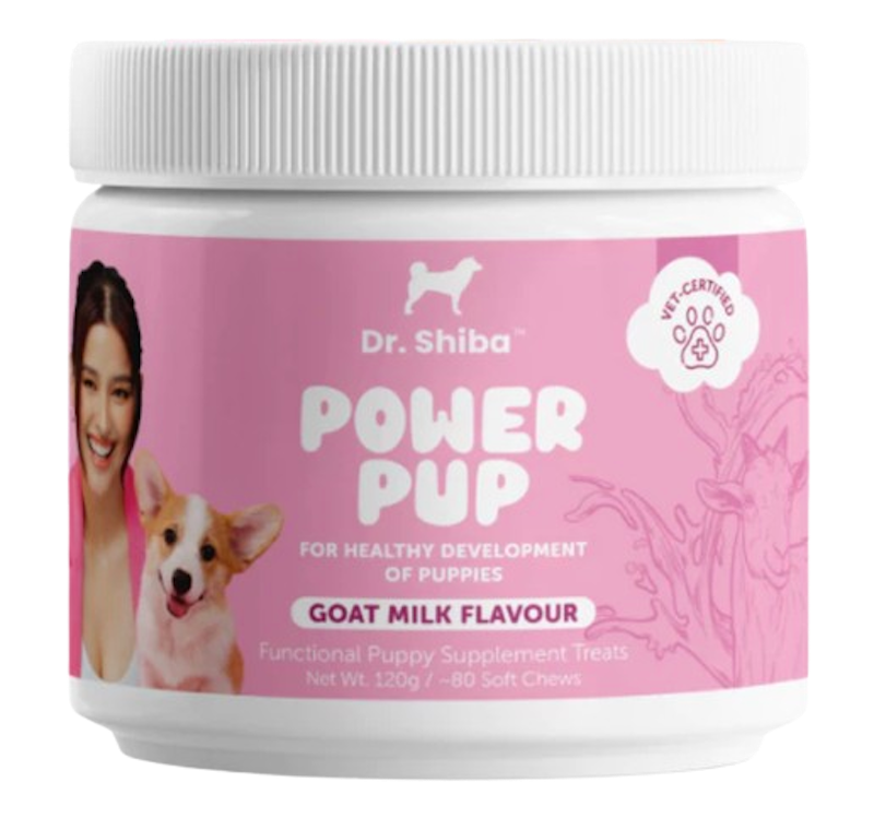 Power Pup 1