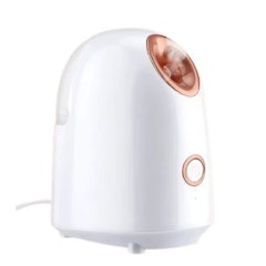 Hot Spray Steamer