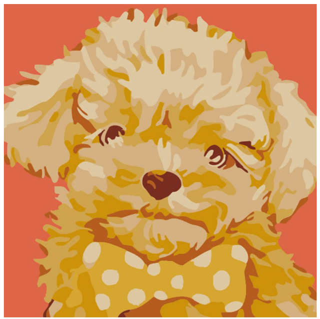 Cute Pets Paint By Numbers 1