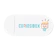 Curiosibox Smart Slide Webcam Security Cover 1