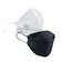 Panamed Particulate Respirator 1