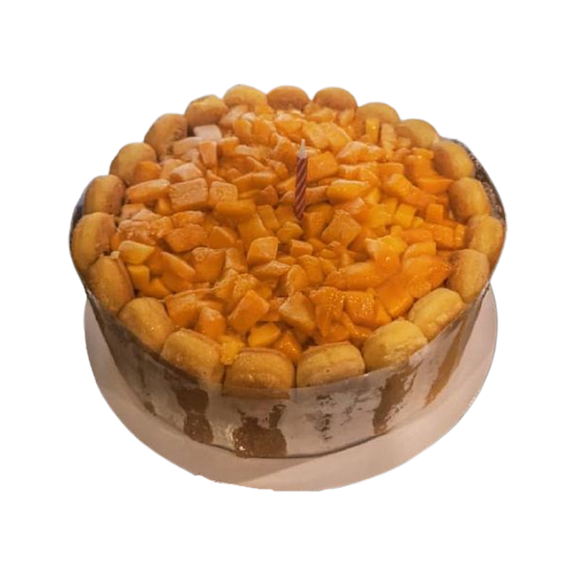 Frozen Mango Tres Leches  1
