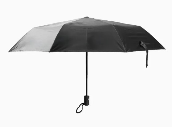 Mini Automatic Umbrella 1