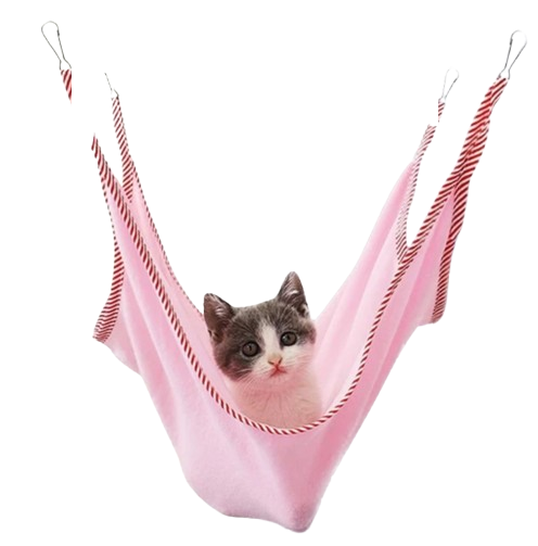 Cat Hammock 1