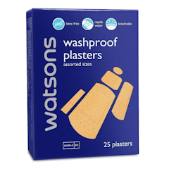 Washproof Plaster