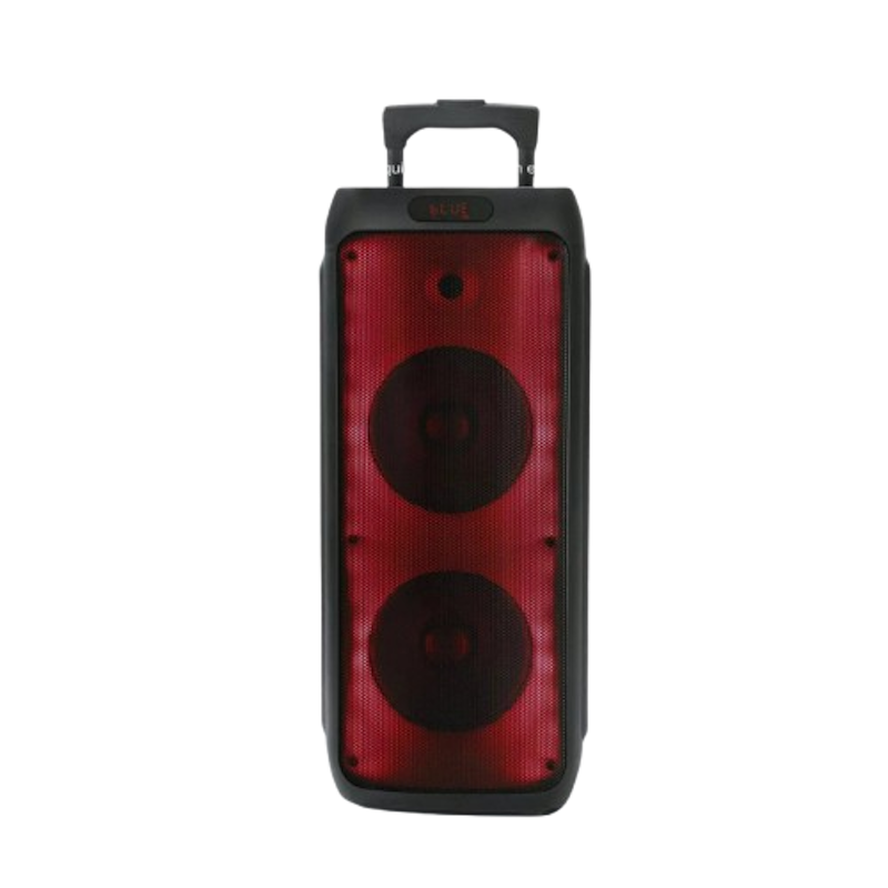 PARTY BOX Speaker 3000Pro 1