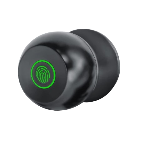 Smart Door Fingerprint Lock 1