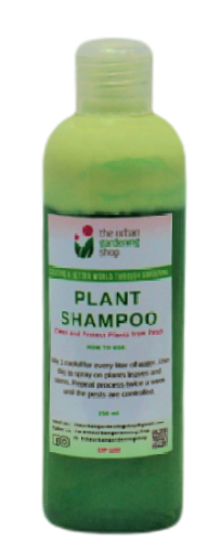 2-in-1 Plant Shampoo 1