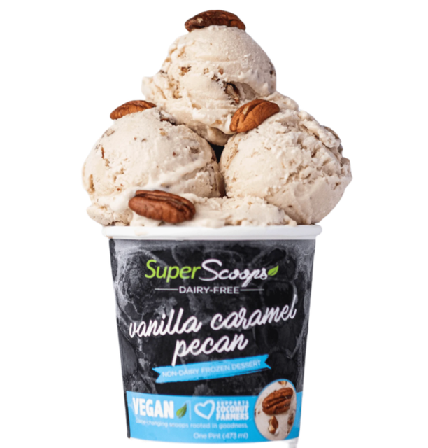 Dairy-Free Vegan Ice Cream 2