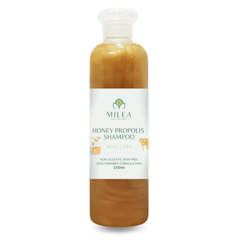 Honey Propolis Scalp Care Shampoo