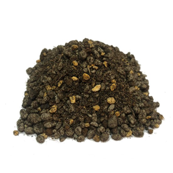 Cultured Soil Plus for Cactus and Succulents 2