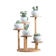 Dolity Wooden Tabletop Plant Stand 1