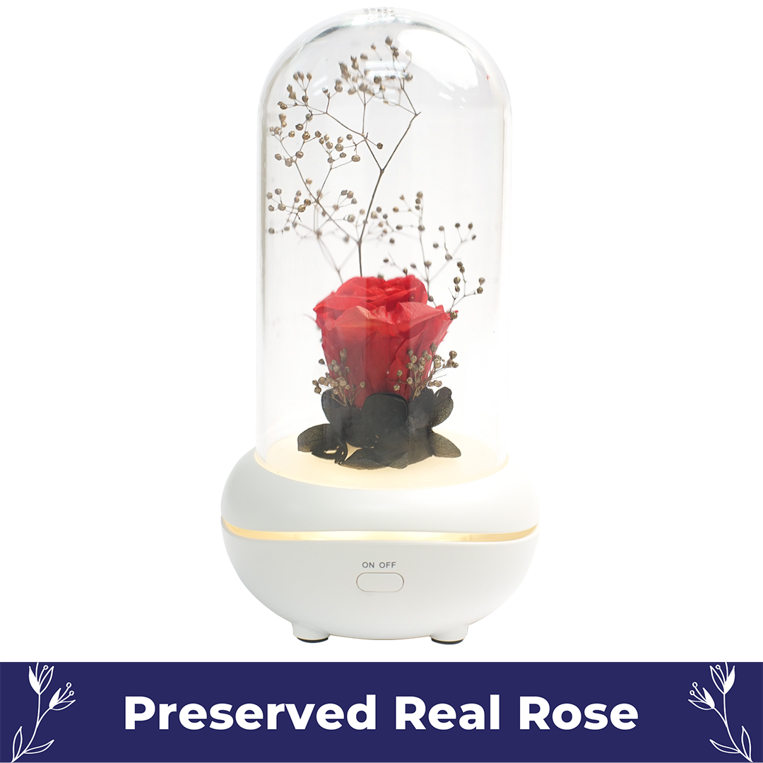 Rose Diffuser 1