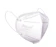 Surgitech Disposable Face Mask 1