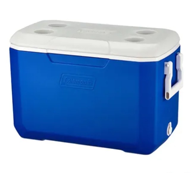 48 Quart Insulated Cooler	  2