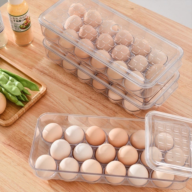 Egg Container  1