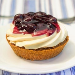 Mini Blueberry Cheesecake