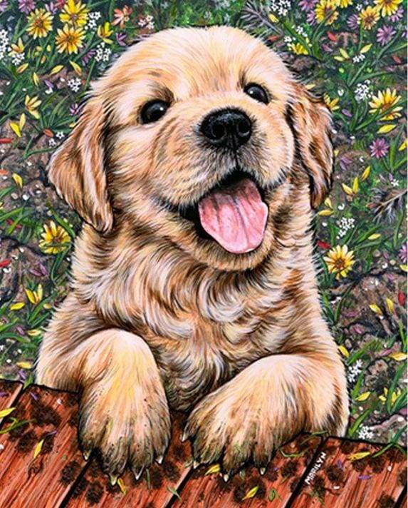 Dog Diamond Painting 1