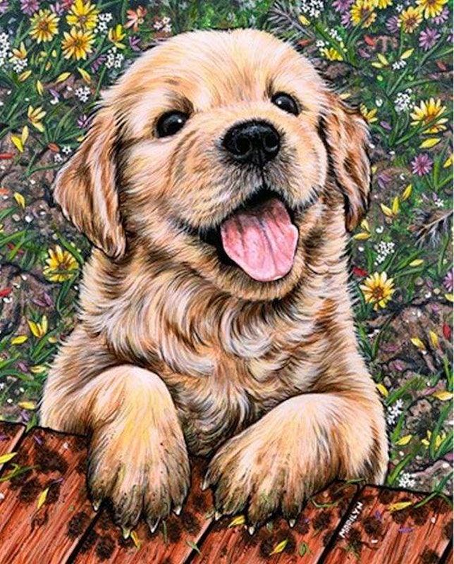 Dog Diamond Painting 1