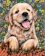 Dog Diamond Painting 1