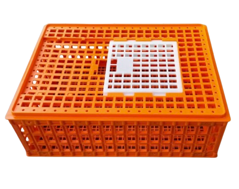 Plastic Crates 1