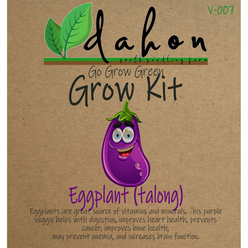 Eggplant Grow Kit 1