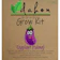 Dahon South Seedling Farm Eggplant Grow Kit 1