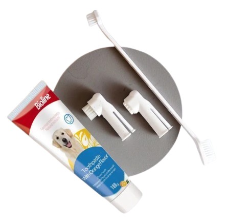 Dental Care Set 	  4