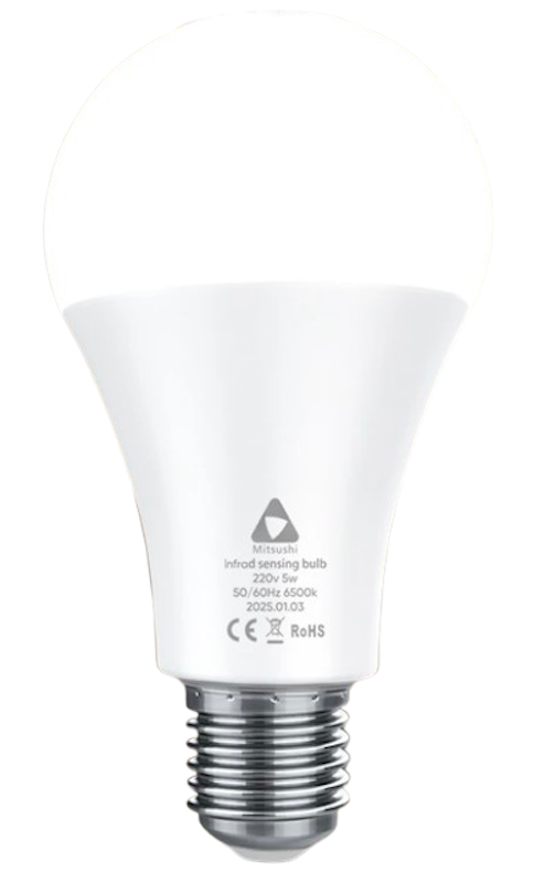 Motion Sensor Light Bulb 1
