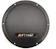 FTStar 10" Professional Hi-Fi Woofer Speaker 1