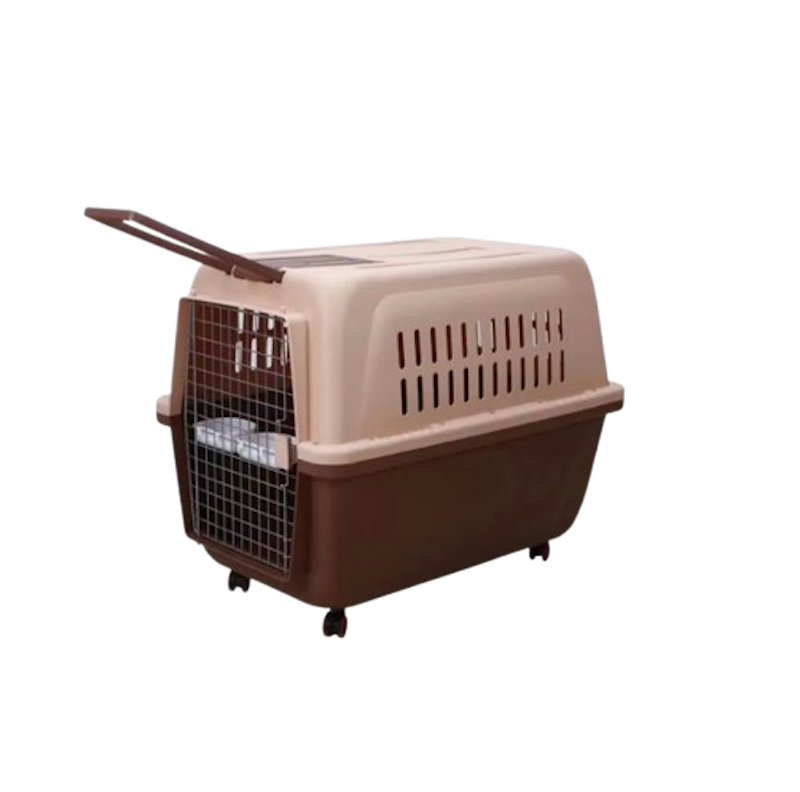 Transport Crate 1