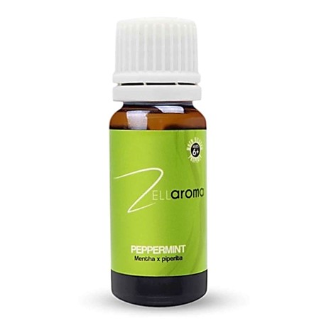 Peppermint Mentha x Piperita 1