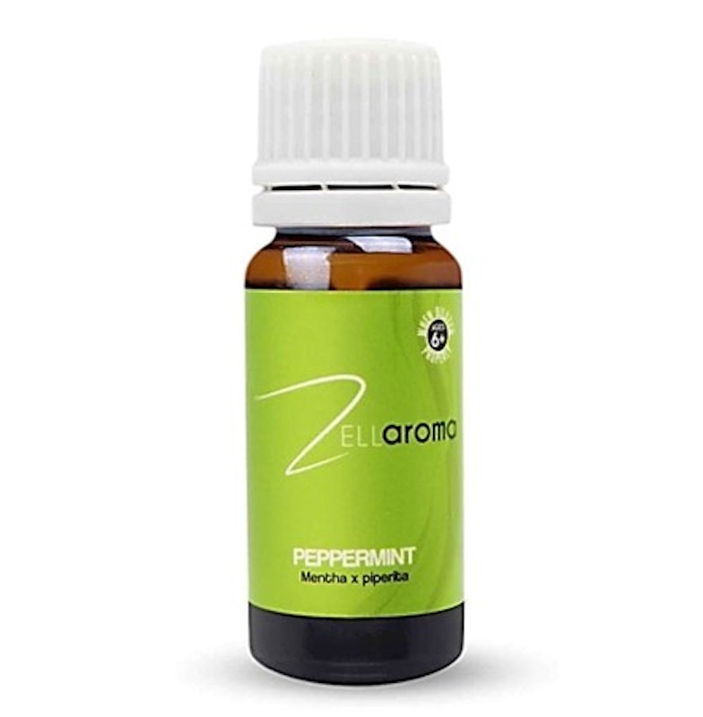 Peppermint Mentha x Piperita 1