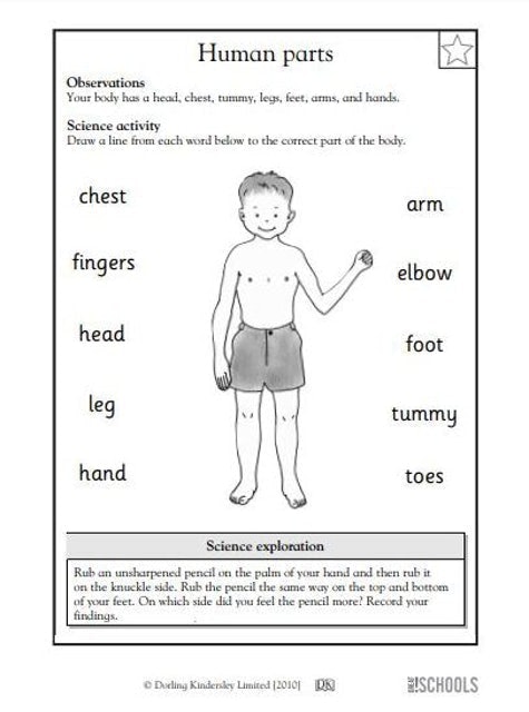 Kindergarten Science Worksheets 1