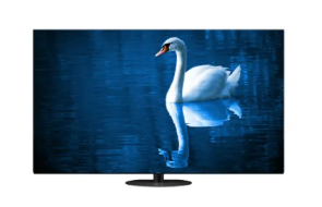 55-Inch OLED 4K Ultra HD TV 1