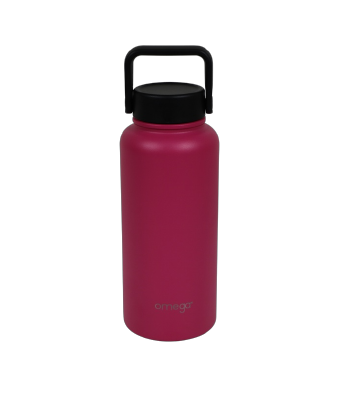 Denzell Double Wall Insulated Flask 1