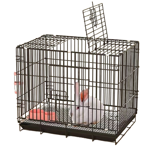 Coated Foldable Metal Wire Cage With Removable Tray 2