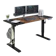 Officebus 160CM Height Adjustable Ergonomic Desk 1