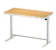 FlexiSpot Comhar E8 1