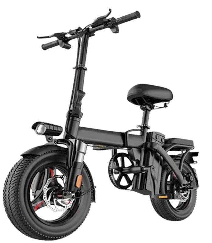 48V Electric bike 1