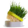 Teeker Organic Cat Grass 1